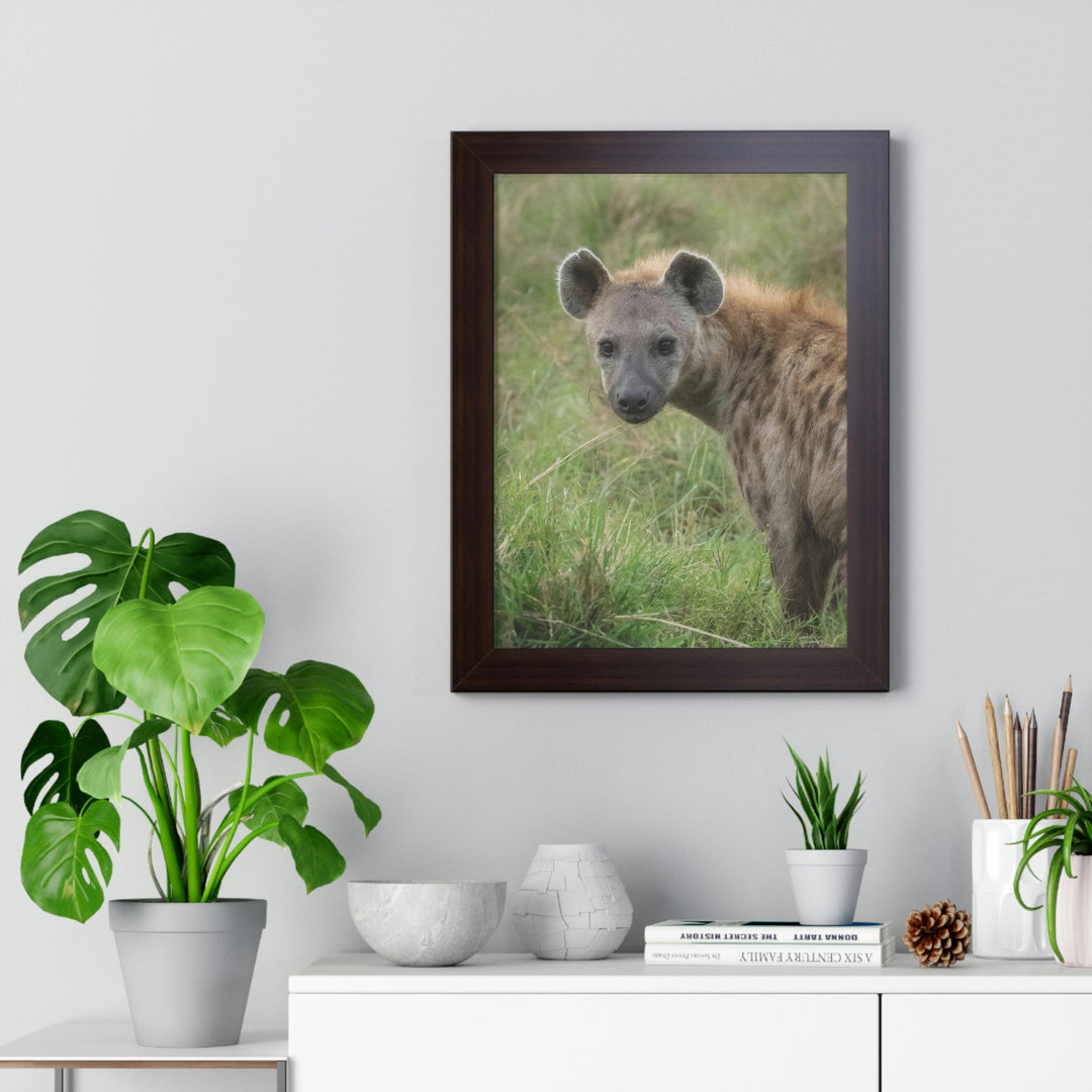 Hyena Stare - Framed Print - Visiting This World