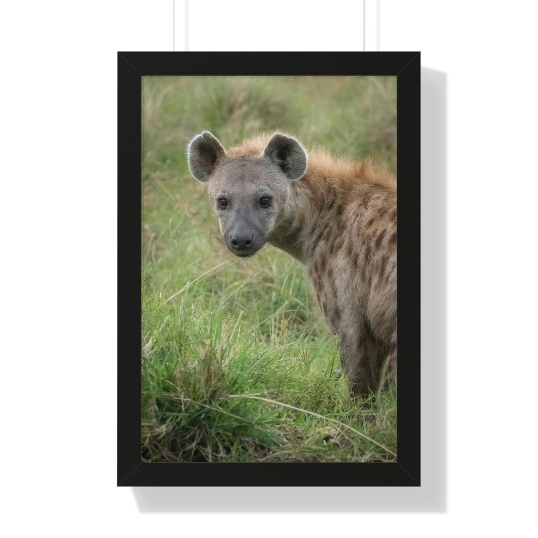 Hyena Stare - Framed Print - Visiting This World