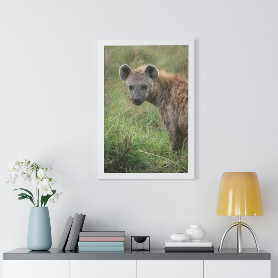 Hyena Stare - Framed Print - Visiting This World