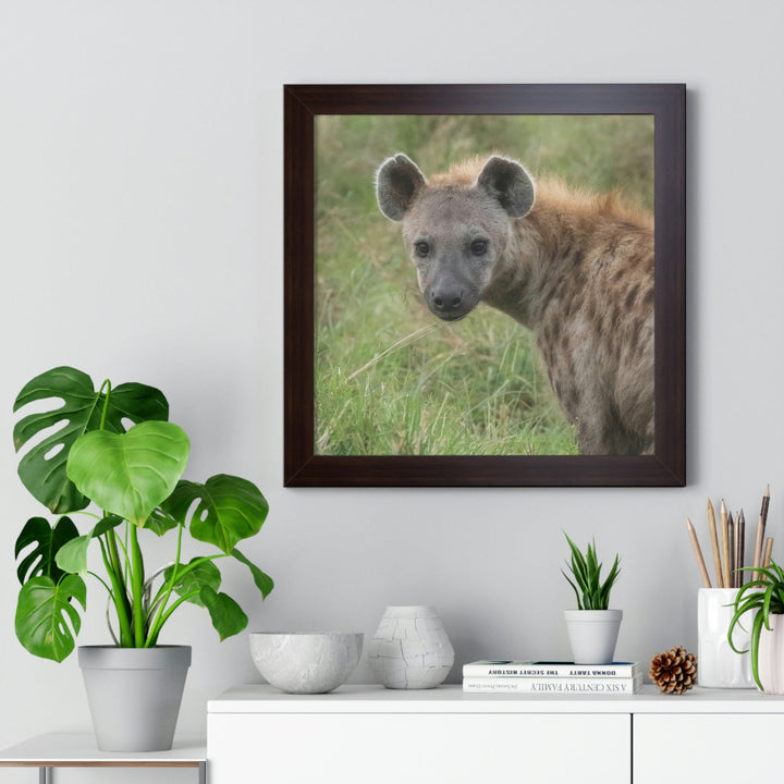 Hyena Stare - Framed Print - Visiting This World