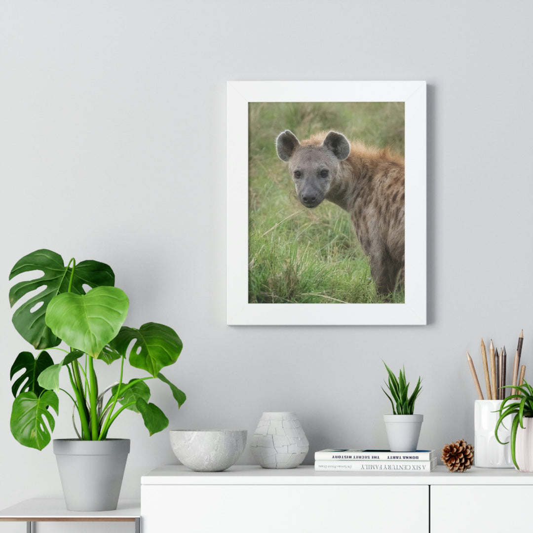 Hyena Stare - Framed Print - Visiting This World