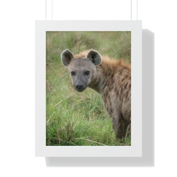 Hyena Stare - Framed Print - Visiting This World