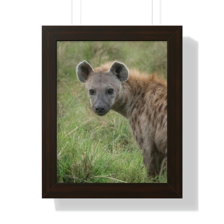 Hyena Stare - Framed Print - Visiting This World