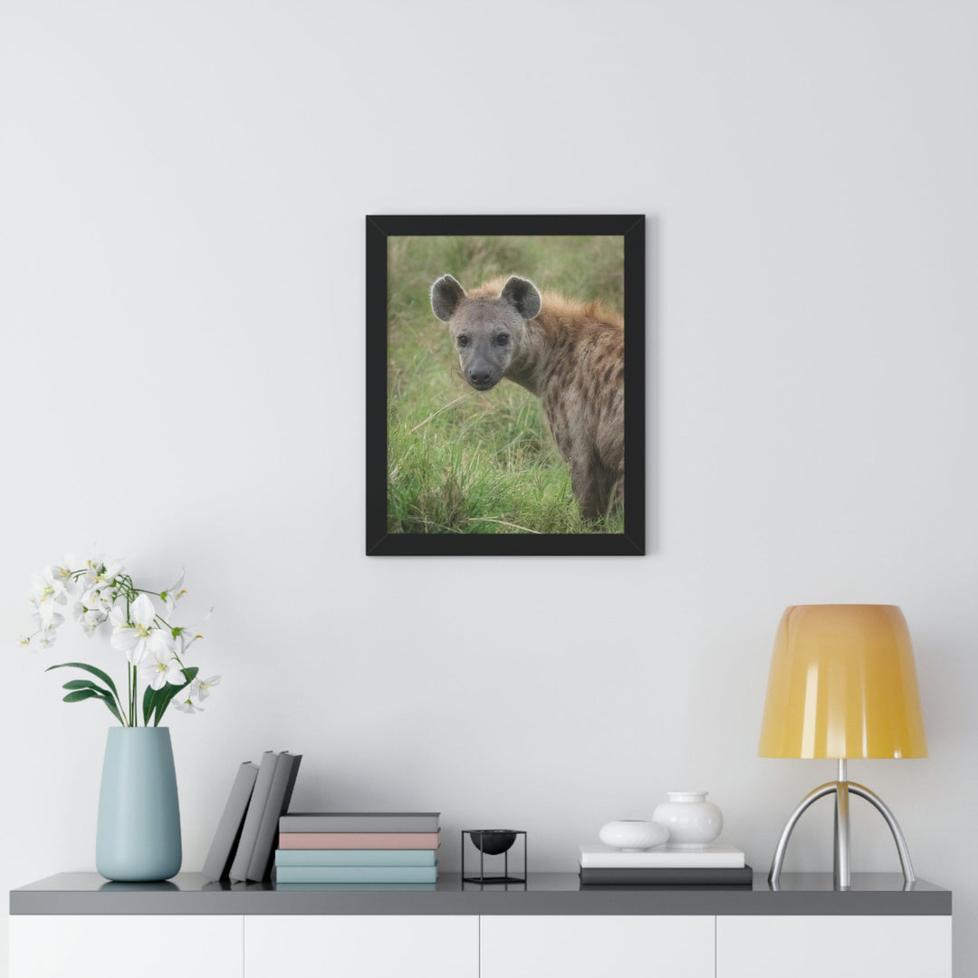 Hyena Stare - Framed Print - Visiting This World