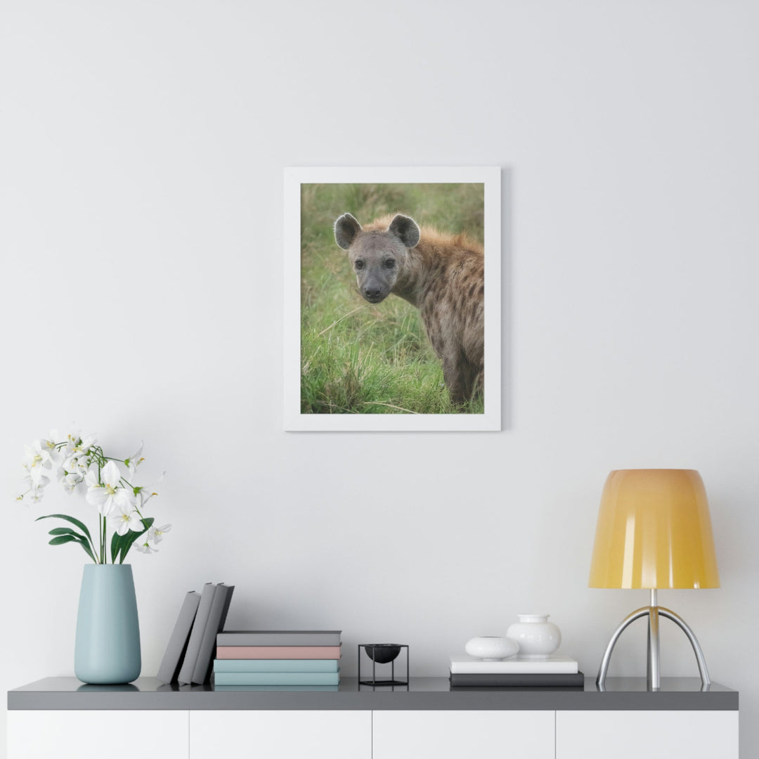 Hyena Stare - Framed Print - Visiting This World