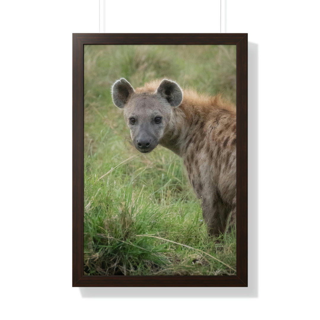 Hyena Stare - Framed Print - Visiting This World