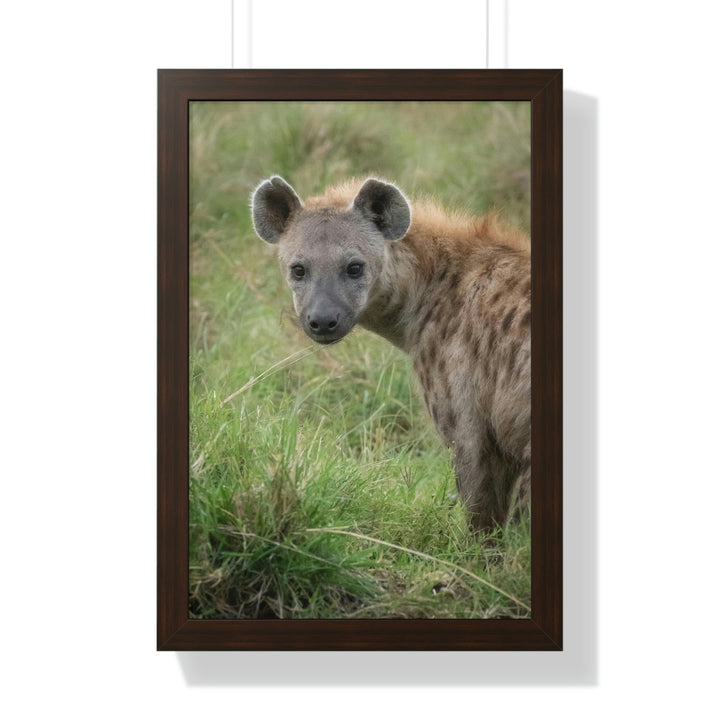 Hyena Stare - Framed Print - Visiting This World