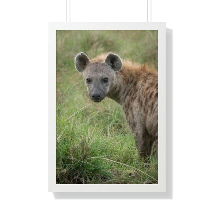 Hyena Stare - Framed Print - Visiting This World