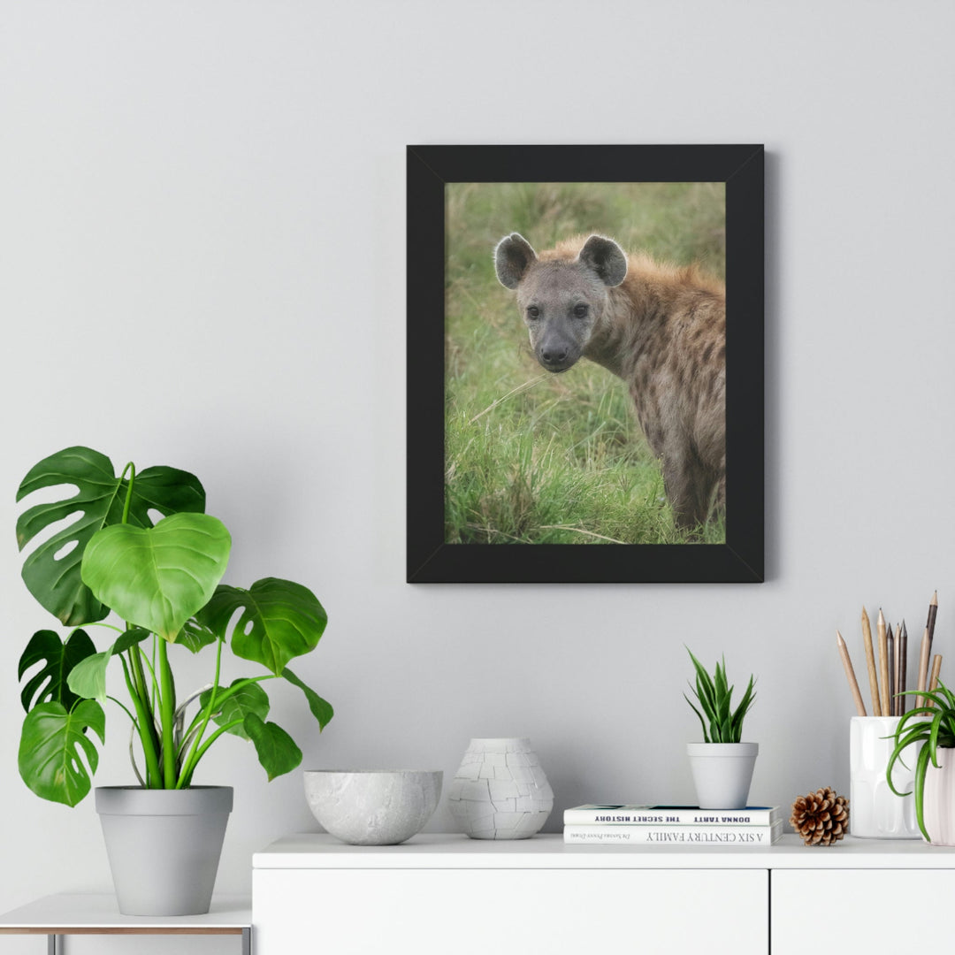 Hyena Stare - Framed Print - Visiting This World