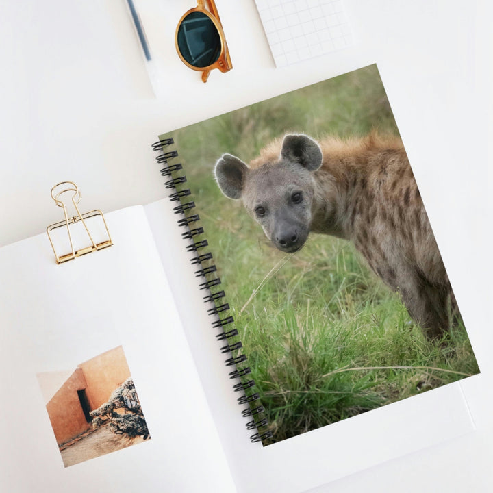 Hyena Stare - Spiral Ruled Line Notebook - Visiting This World