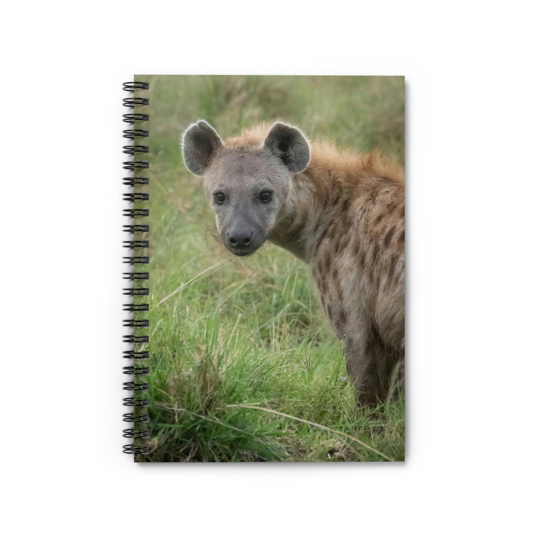 Hyena Stare - Spiral Ruled Line Notebook - Visiting This World