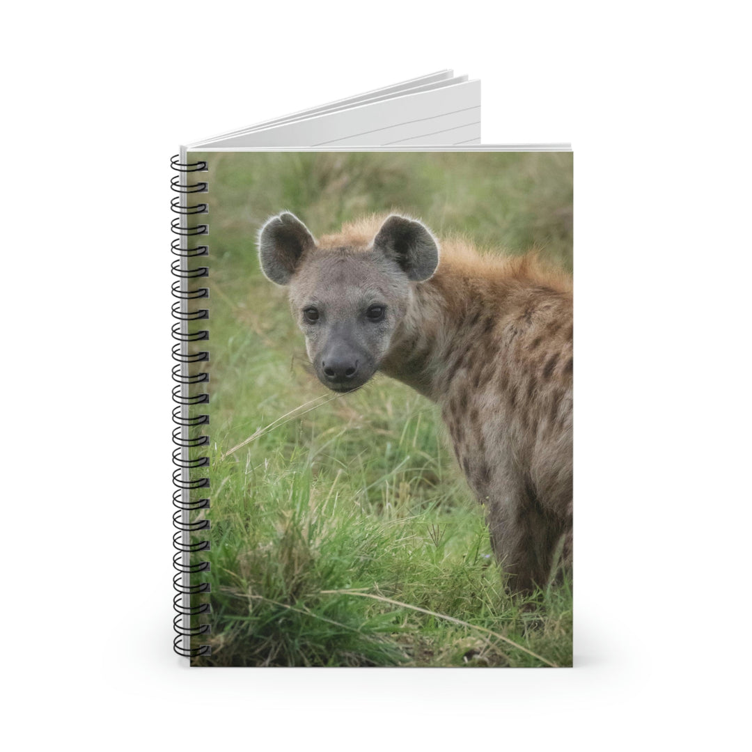 Hyena Stare - Spiral Ruled Line Notebook - Visiting This World