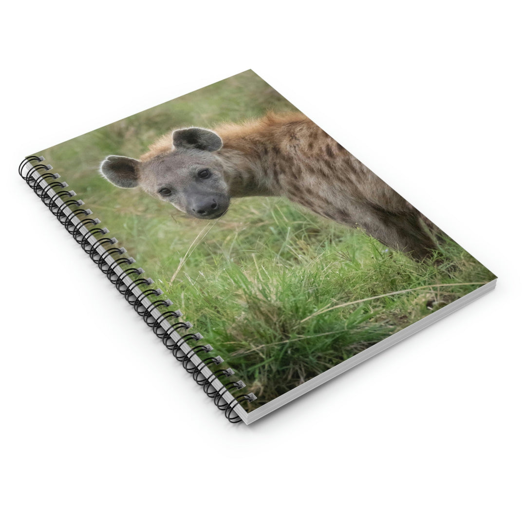 Hyena Stare - Spiral Ruled Line Notebook - Visiting This World