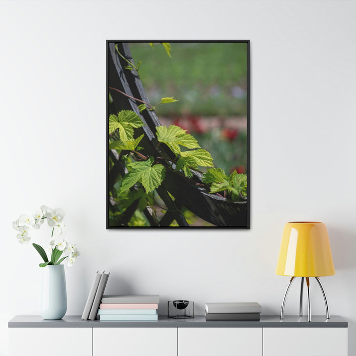 Ivy-Covered Fence - Canvas with Frame - Visiting This World