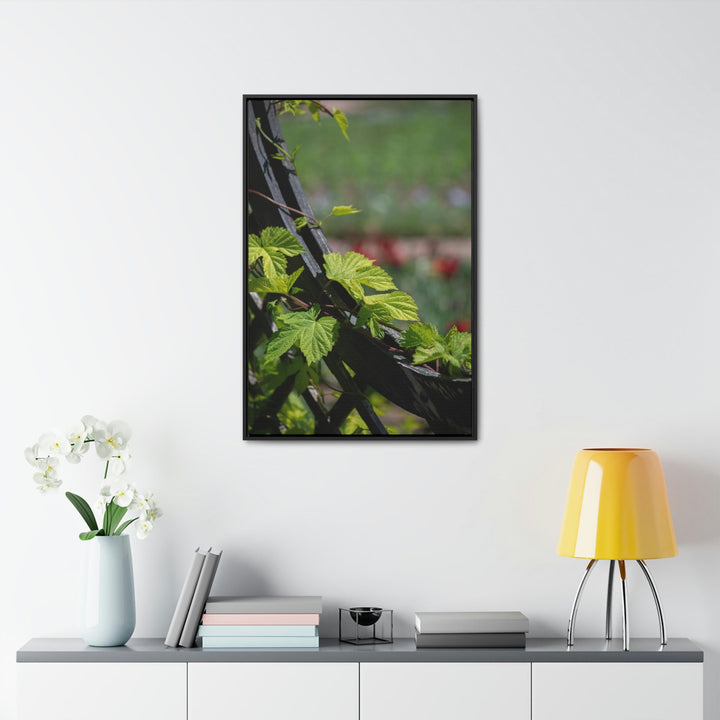 Ivy-Covered Fence - Canvas with Frame - Visiting This World