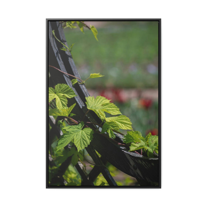 Ivy-Covered Fence - Canvas with Frame - Visiting This World