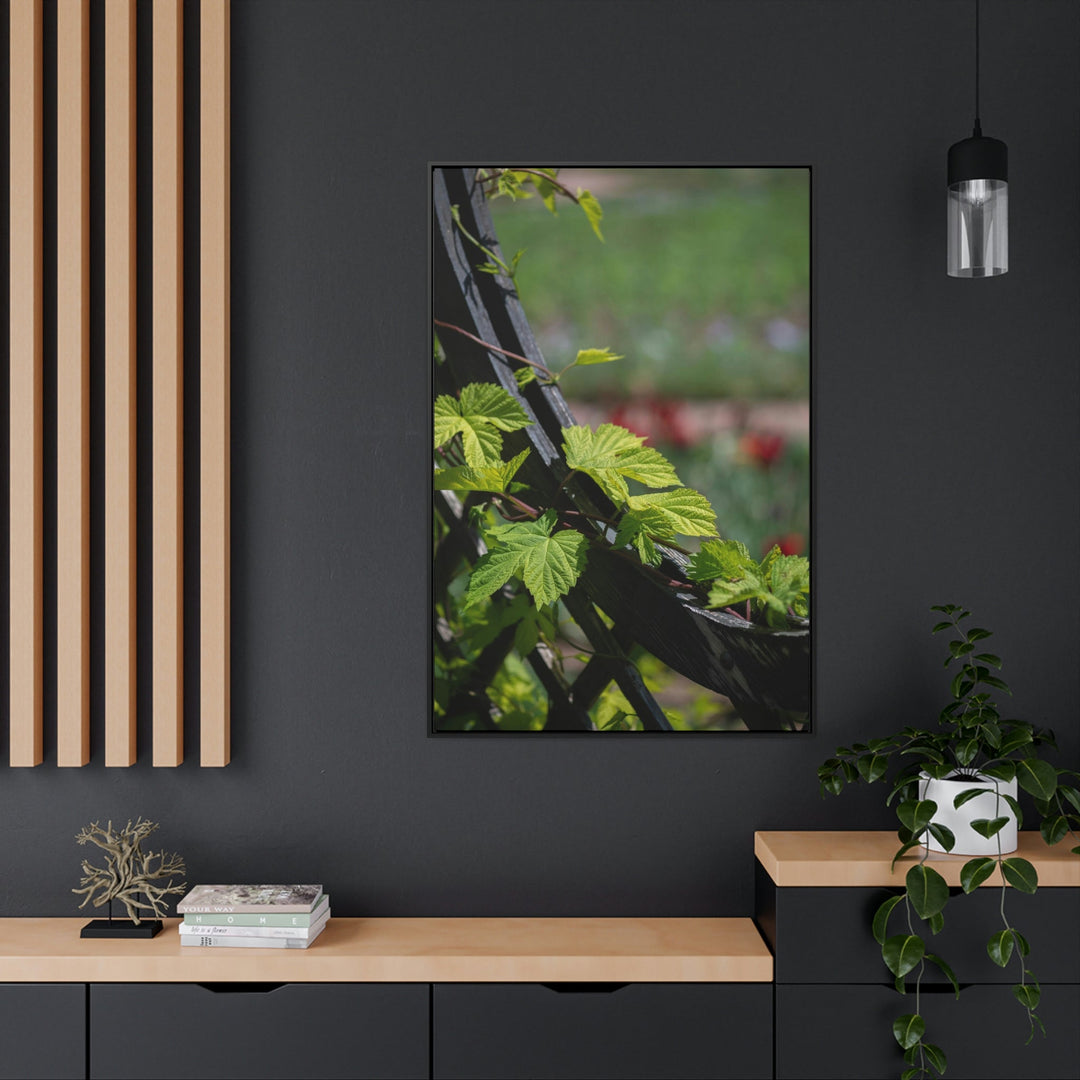 Ivy-Covered Fence - Canvas with Frame - Visiting This World