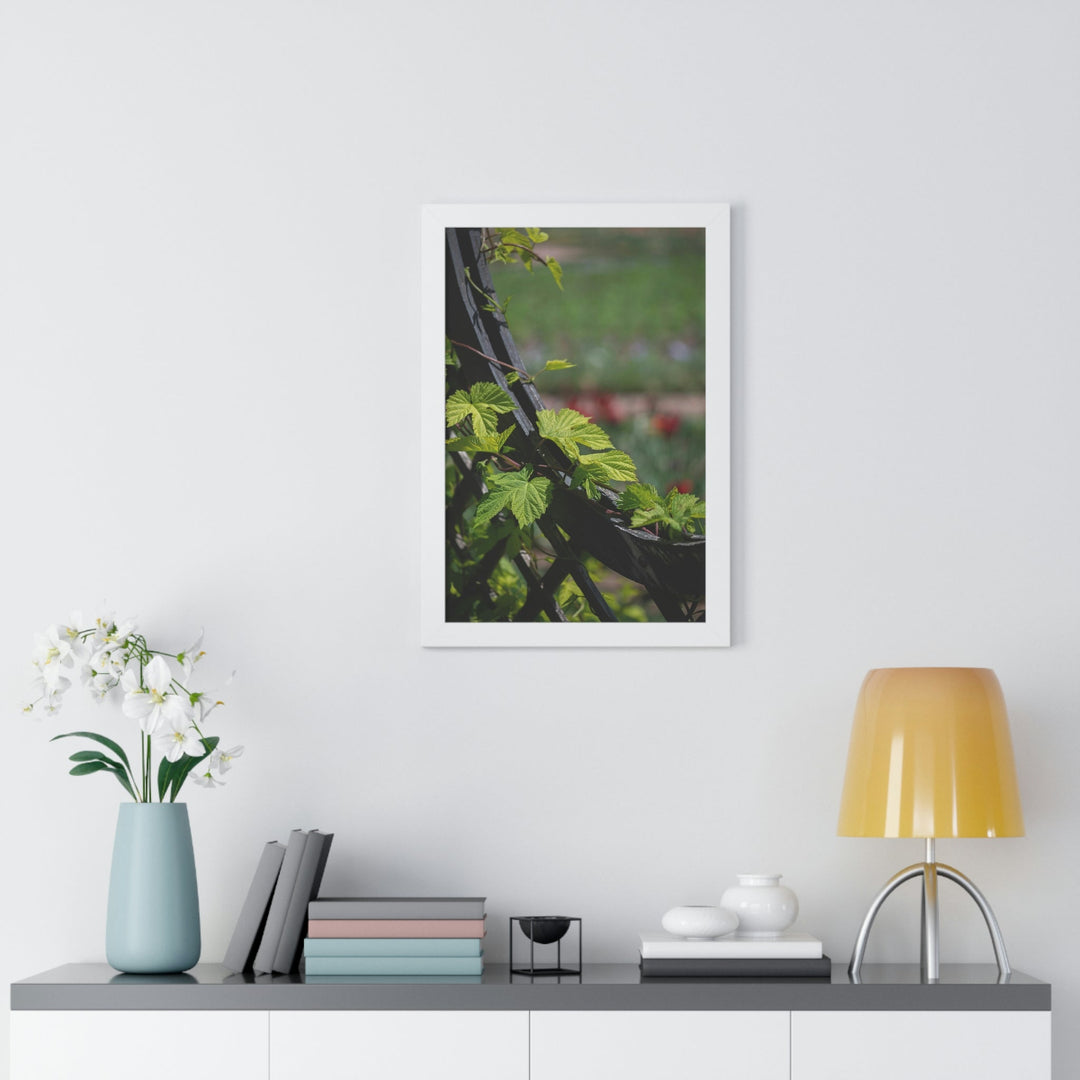 Ivy-Covered Fence - Framed Print - Visiting This World