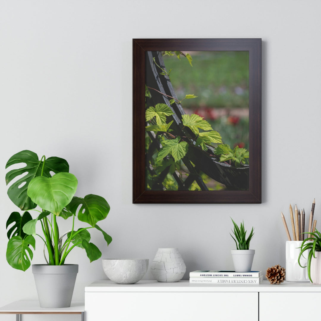 Ivy-Covered Fence - Framed Print - Visiting This World