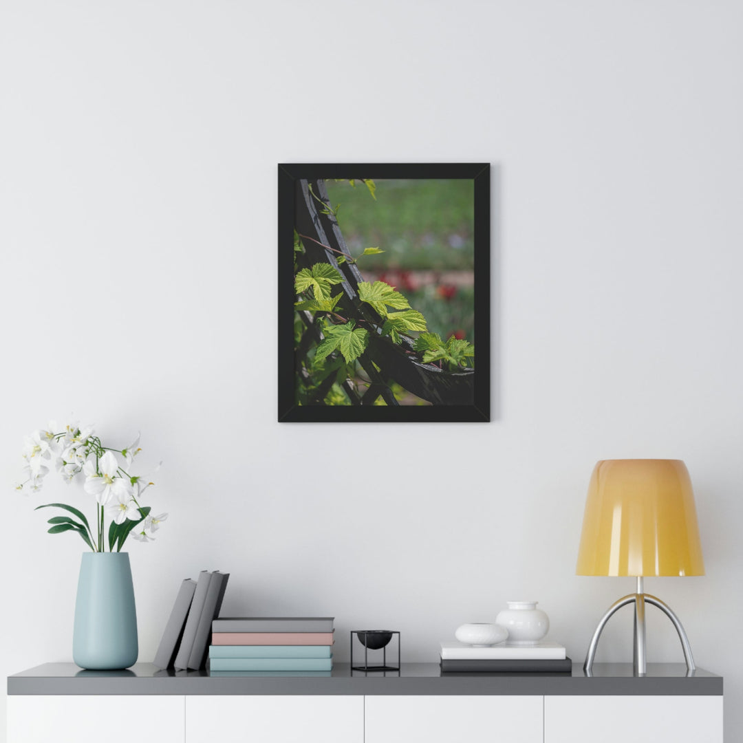 Ivy-Covered Fence - Framed Print - Visiting This World