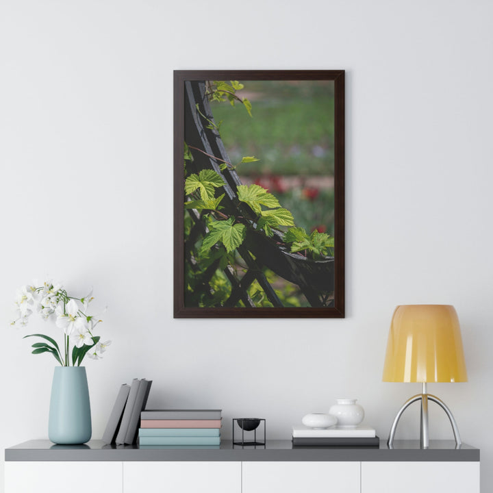 Ivy-Covered Fence - Framed Print - Visiting This World