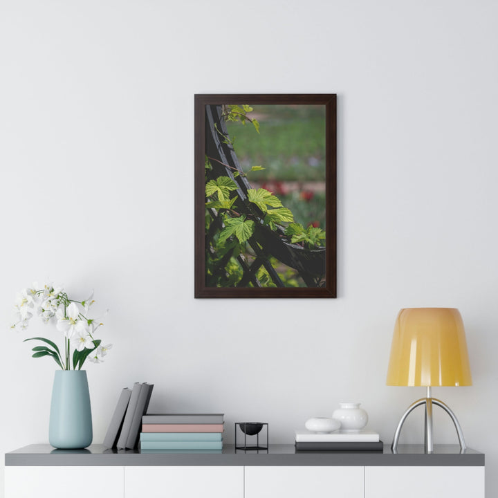 Ivy-Covered Fence - Framed Print - Visiting This World