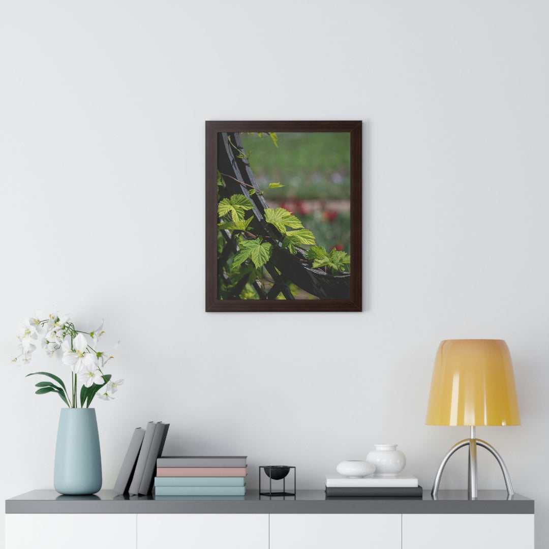 Ivy-Covered Fence - Framed Print - Visiting This World