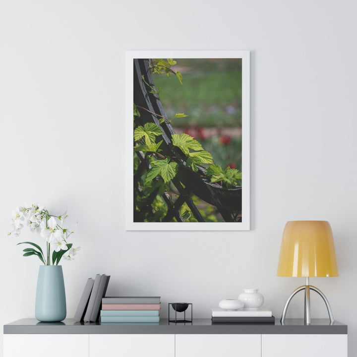 Ivy-Covered Fence - Framed Print - Visiting This World