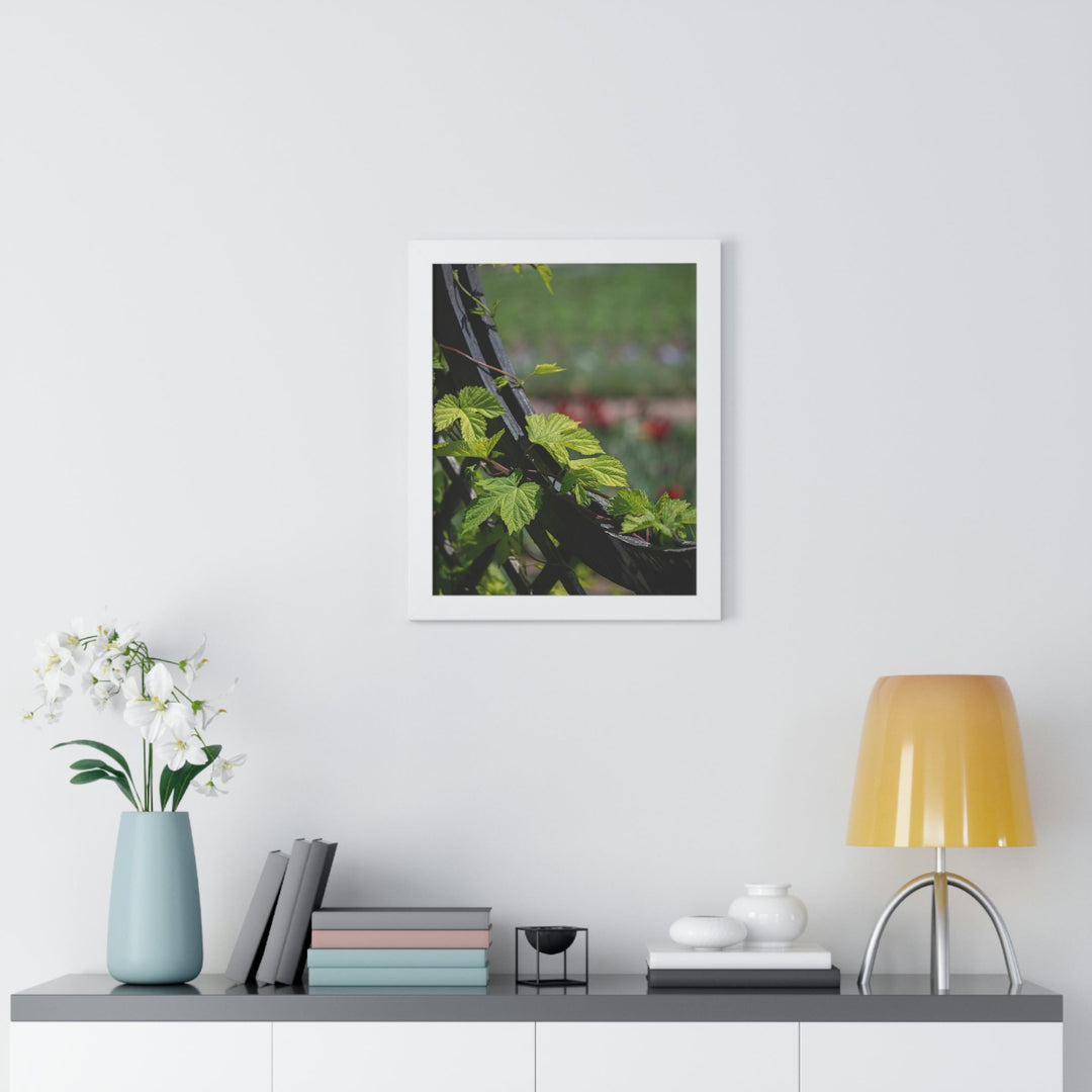 Ivy-Covered Fence - Framed Print - Visiting This World