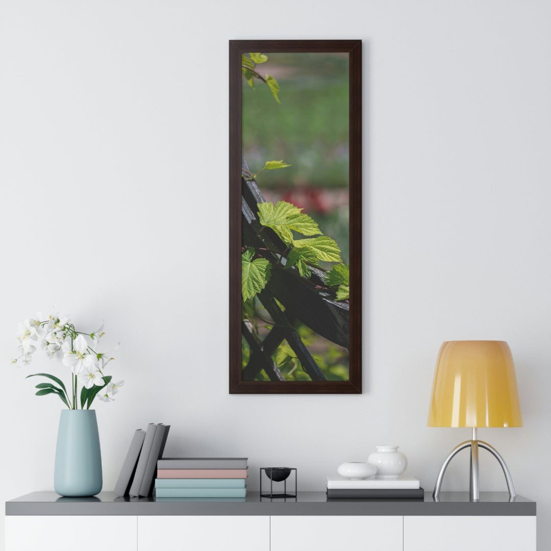 Ivy-Covered Fence - Framed Print - Visiting This World