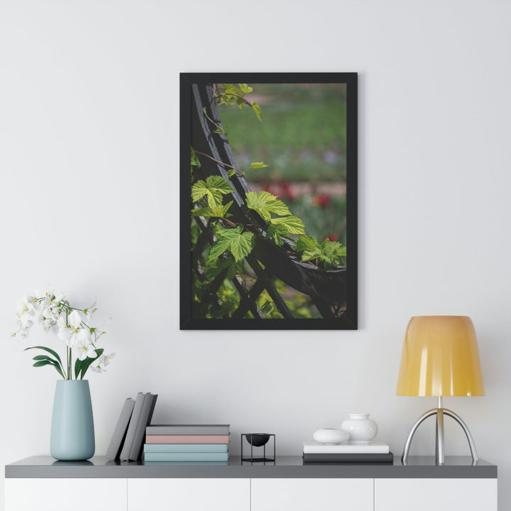 Ivy-Covered Fence - Framed Print - Visiting This World