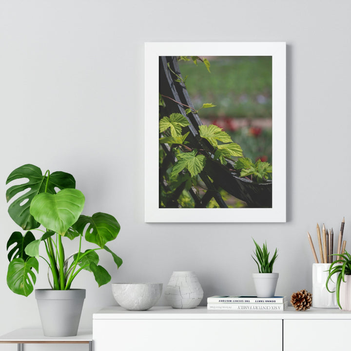 Ivy-Covered Fence - Framed Print - Visiting This World