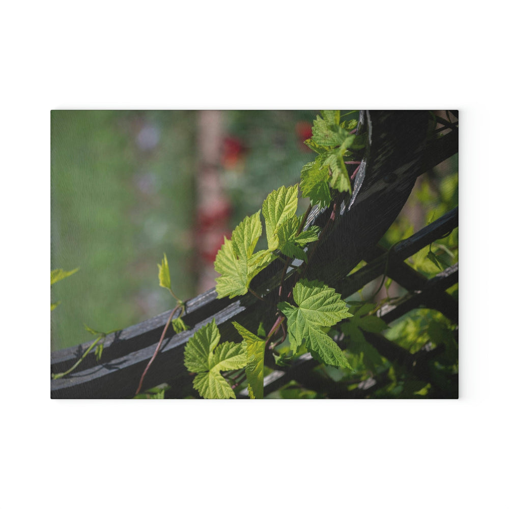 Ivy-Covered Fence - Glass Cutting Board - Visiting This World