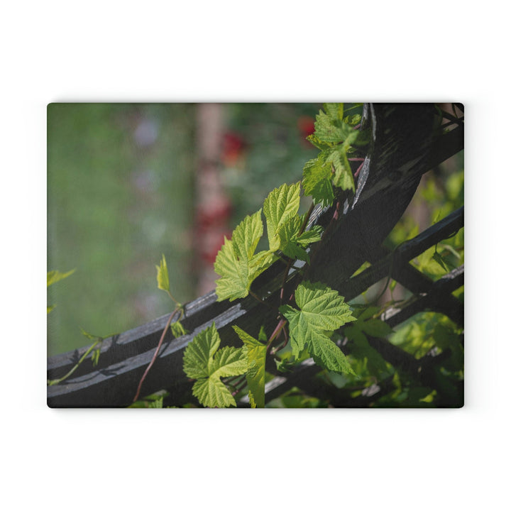 Ivy-Covered Fence - Glass Cutting Board - Visiting This World