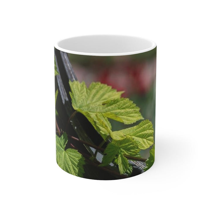 Ivy-Covered Fence - Mug 11oz - Visiting This World