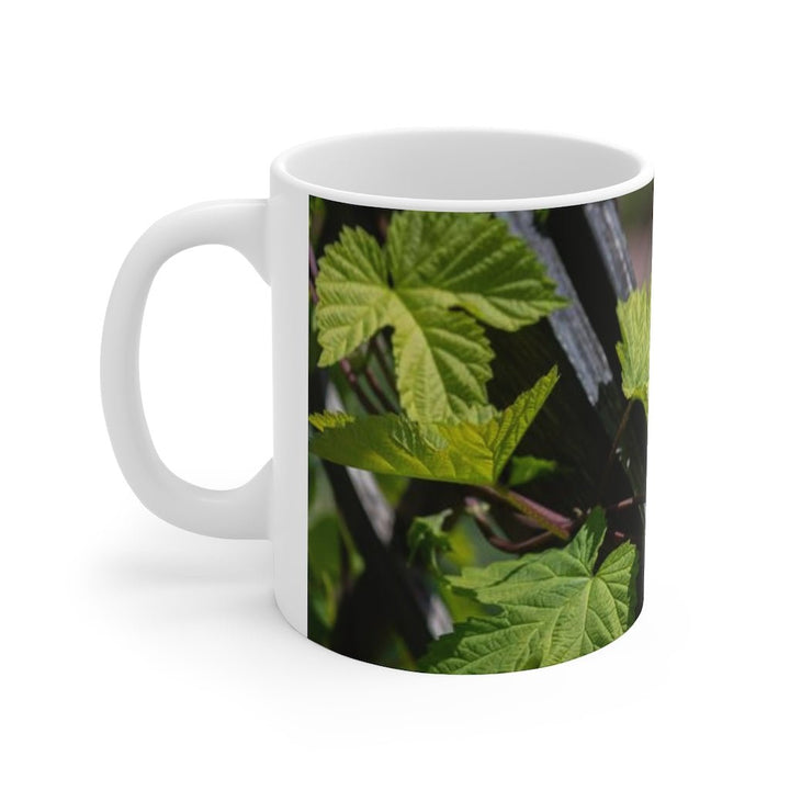 Ivy-Covered Fence - Mug 11oz - Visiting This World