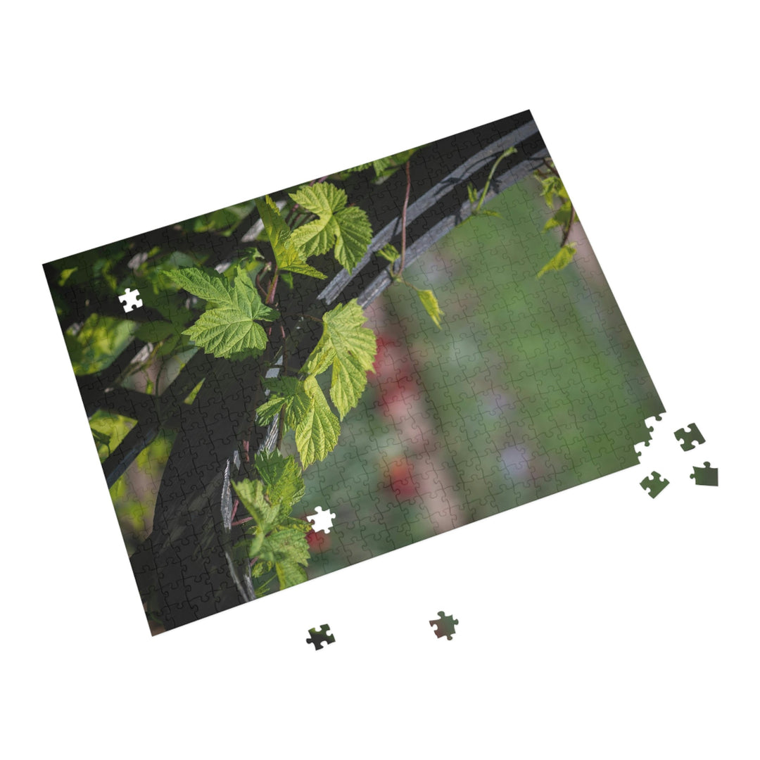 Ivy-Covered Fence - Nature Puzzle (96, 252, 500, 1000-Piece) - Visiting This World