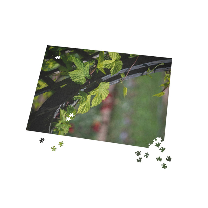 Ivy-Covered Fence - Nature Puzzle (96, 252, 500, 1000-Piece) - Visiting This World