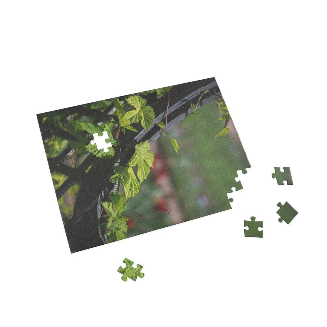 Ivy-Covered Fence - Nature Puzzle (96, 252, 500, 1000-Piece) - Visiting This World