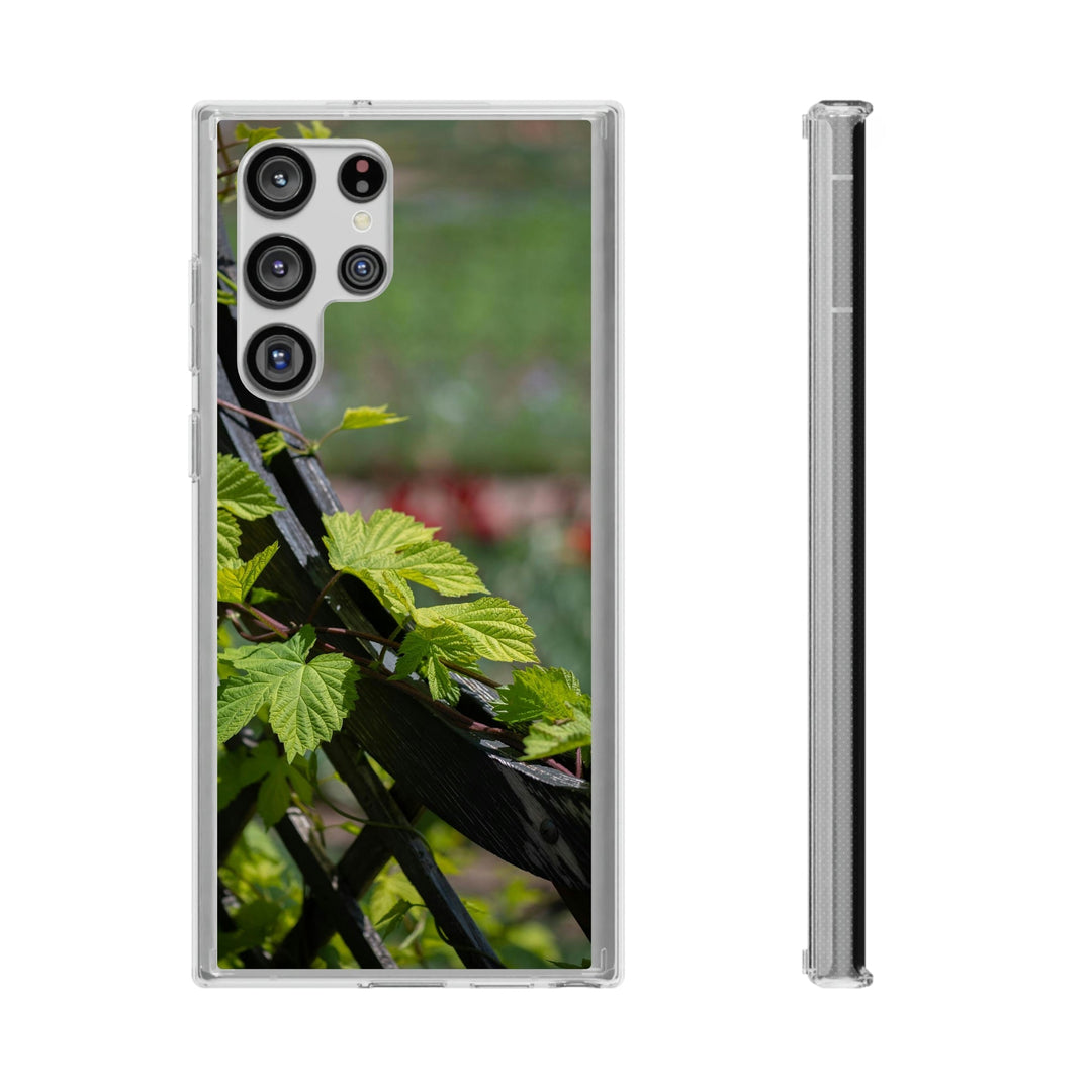 Ivy-Covered Fence - Phone Case Featuring Photography Art - Visiting This World