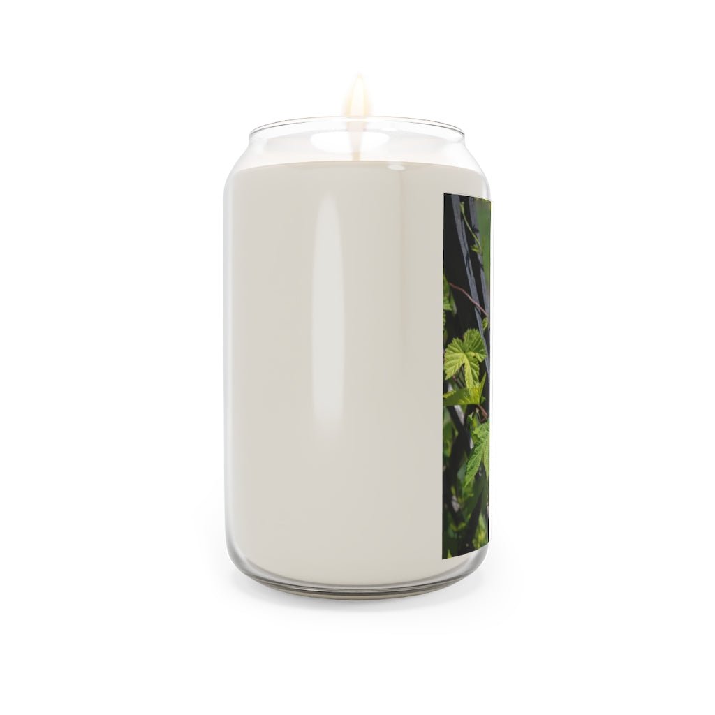 Ivy-Covered Fence - Scented Candle, 13.75oz - Visiting This World