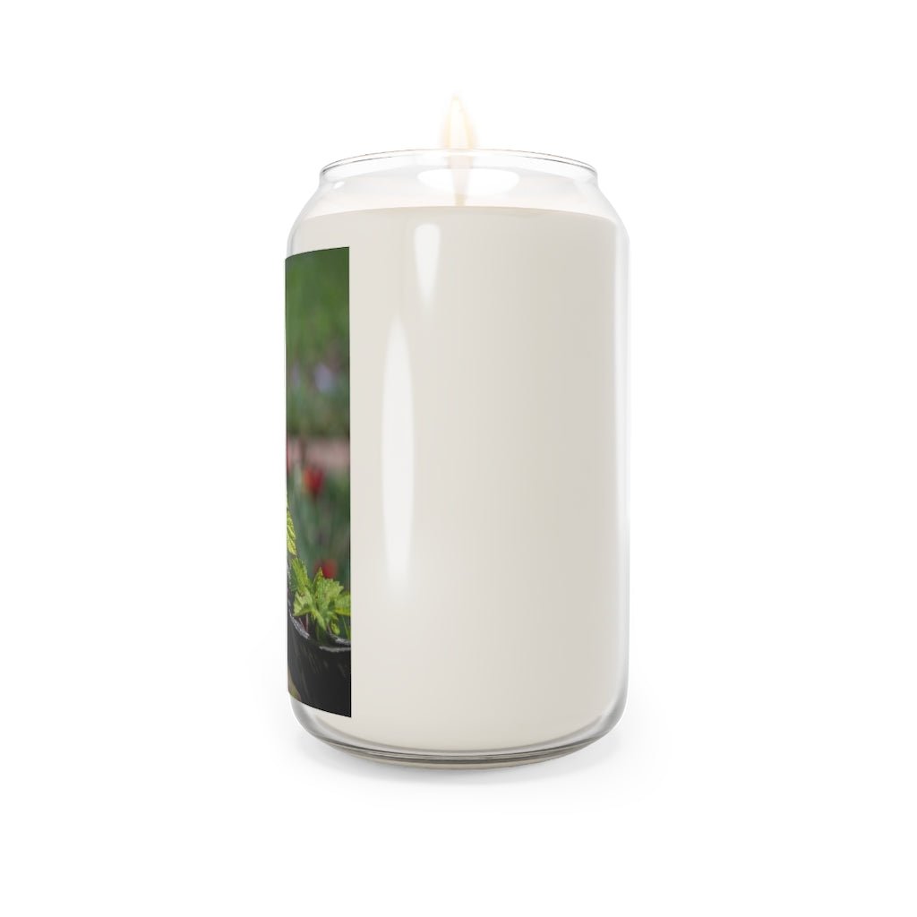 Ivy-Covered Fence - Scented Candle, 13.75oz - Visiting This World