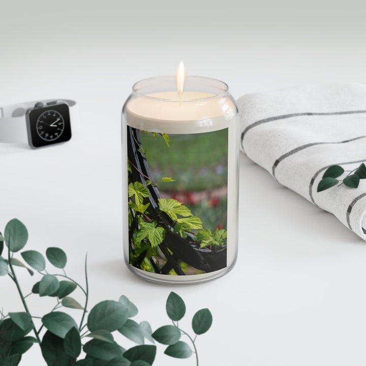 Ivy-Covered Fence - Scented Candle, 13.75oz - Visiting This World