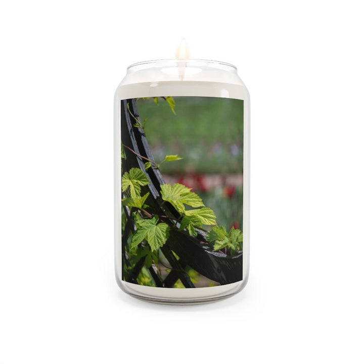 Ivy-Covered Fence - Scented Candle, 13.75oz - Visiting This World