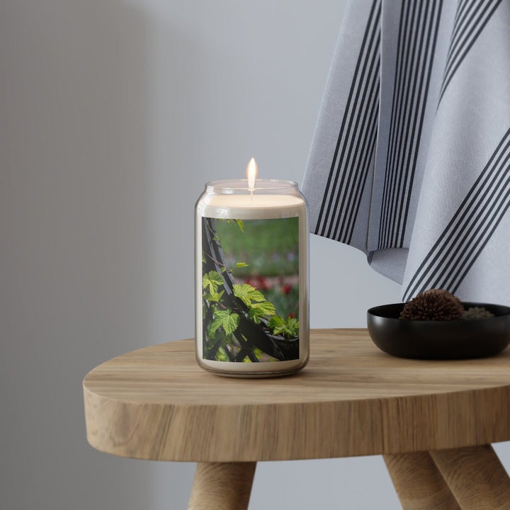 Ivy-Covered Fence - Scented Candle, 13.75oz - Visiting This World