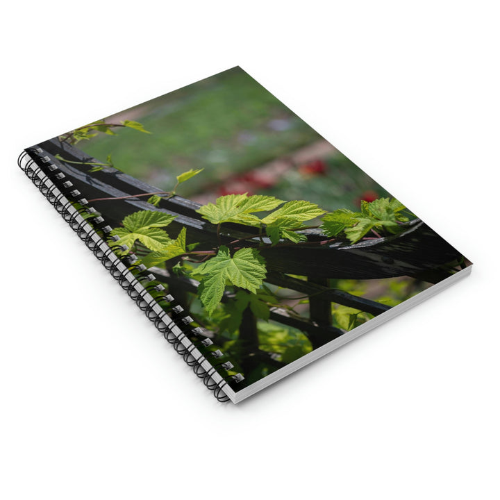 Ivy-Covered Fence - Spiral Ruled Line Notebook - Visiting This World