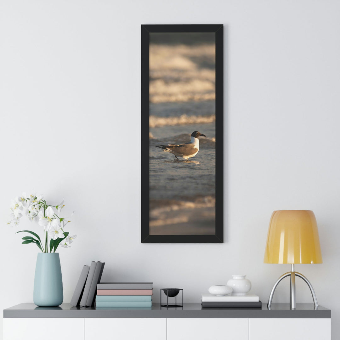 Laughing Gull in the Surf - Framed Print - Visiting This World