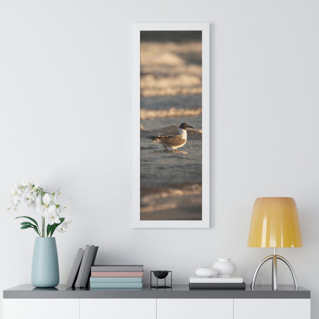 Laughing Gull in the Surf - Framed Print - Visiting This World