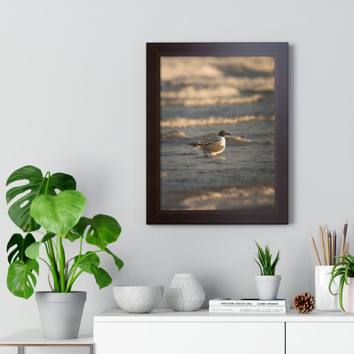 Laughing Gull in the Surf - Framed Print - Visiting This World