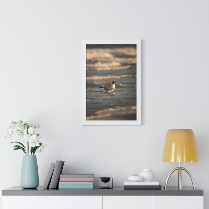 Laughing Gull in the Surf - Framed Print - Visiting This World